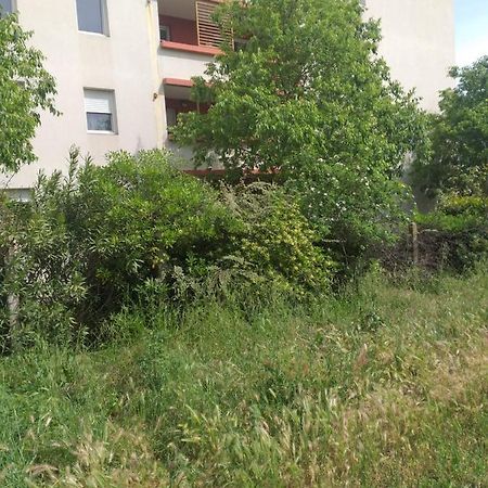 Le Nomade, Parc Montcalm Et Stationnement Prive Apartment Montpellier Luaran gambar