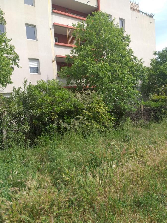 Le Nomade, Parc Montcalm Et Stationnement Prive Apartment Montpellier Luaran gambar